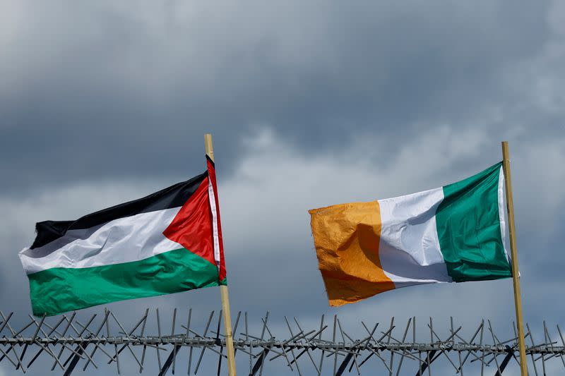 Murals in solidarity with Gaza, in Belfast