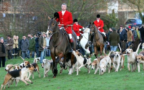  Albrighton Woodland Hunt - Credit: AP Photo/Simon Dawson