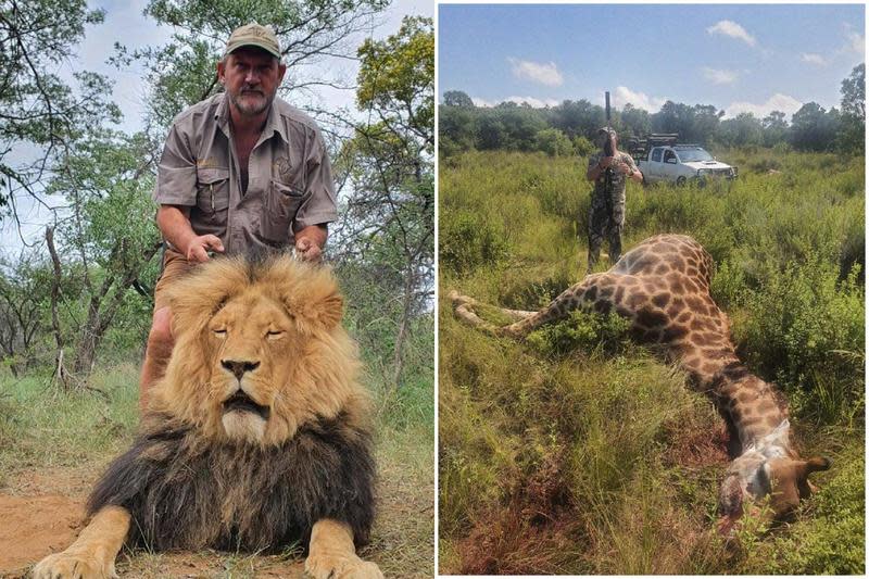 最冷血獵人殘殺大量野生動物，報應來了！遭行刑式謀殺爆頭慘死。（翻自臉書）