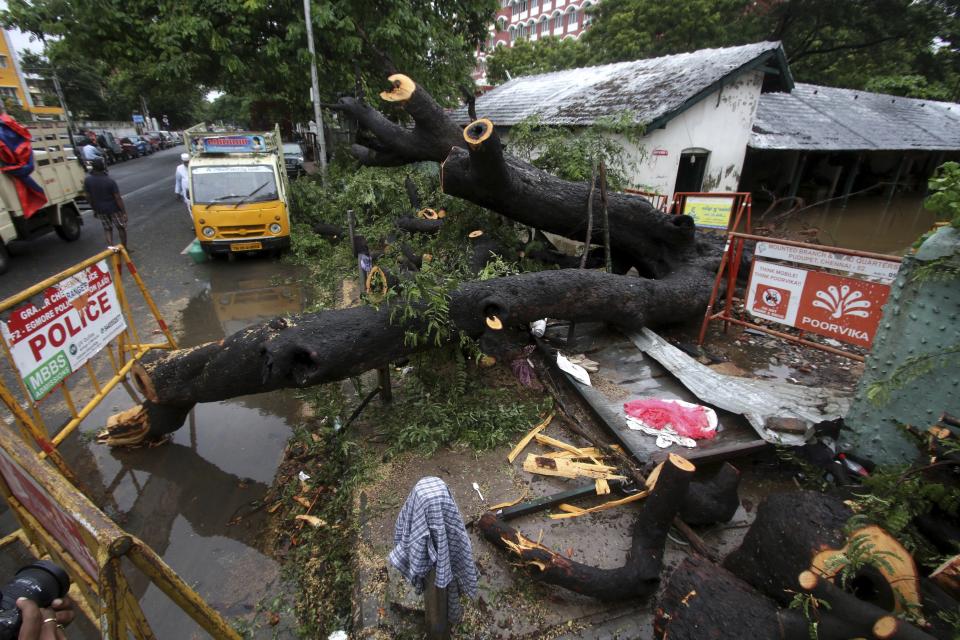 A tree that fell collapsing a compound wall in Chennai, India, Wednesday, Nov.25, 2020. India’s southern state of Tamil Nadu is bracing for Cyclone Nivar that is expected to make landfall on Wednesday. The state authorities have issued an alert and asked people living in low-lying and flood-prone areas to move to safer places. (AP Photo/R. Parthibhan)