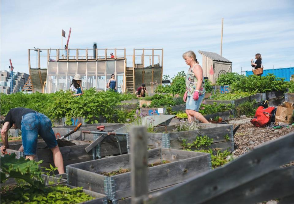 <p>Cette attraction est devenue l’une des plus tendances de Norvège. Elle invite les visiteurs à renouer avec leurs racines. Crédit photo : Monica Lovdahl </p>