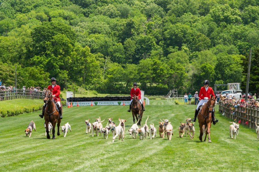 (Courtesy: Iroquois Steeplechase)