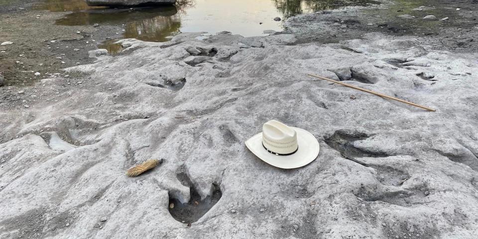 A view of the dried-up river Paluxy in  Dinosaur Valley State Park in Glen Rose, Texas, showing dinosaur tracks around the same size as a panama hat for scale, August 2023.