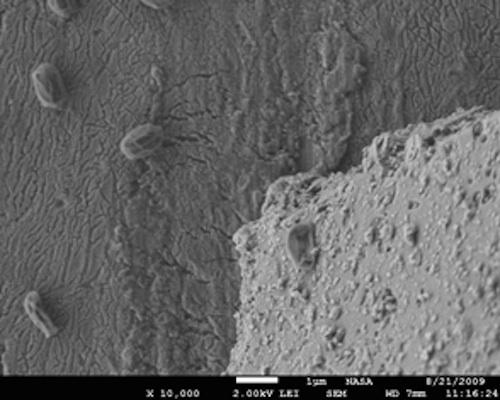 This scanning electron microscope (SEM) image shows one of the bacterial spores collected from Mt. Bachelor Observatory.