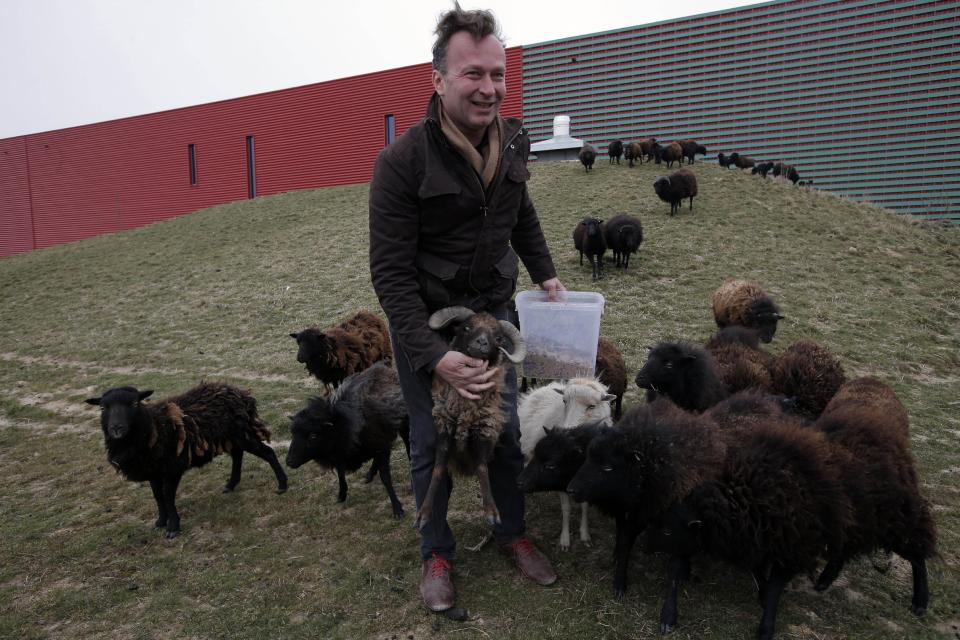 In this photo dated Thursday, April 4, 2013, Sylvain Girard, owner of "Ecomouton" shows his flock used to graze the lawns in replacement of lawn mowers around a truck warehouse at Evry, south of Paris. Paris is enlisting the help of a small flock of sheep to keep the city’s grass trim to replace gas-guzzling lawnmowers. (AP Photo/Francois Mori)