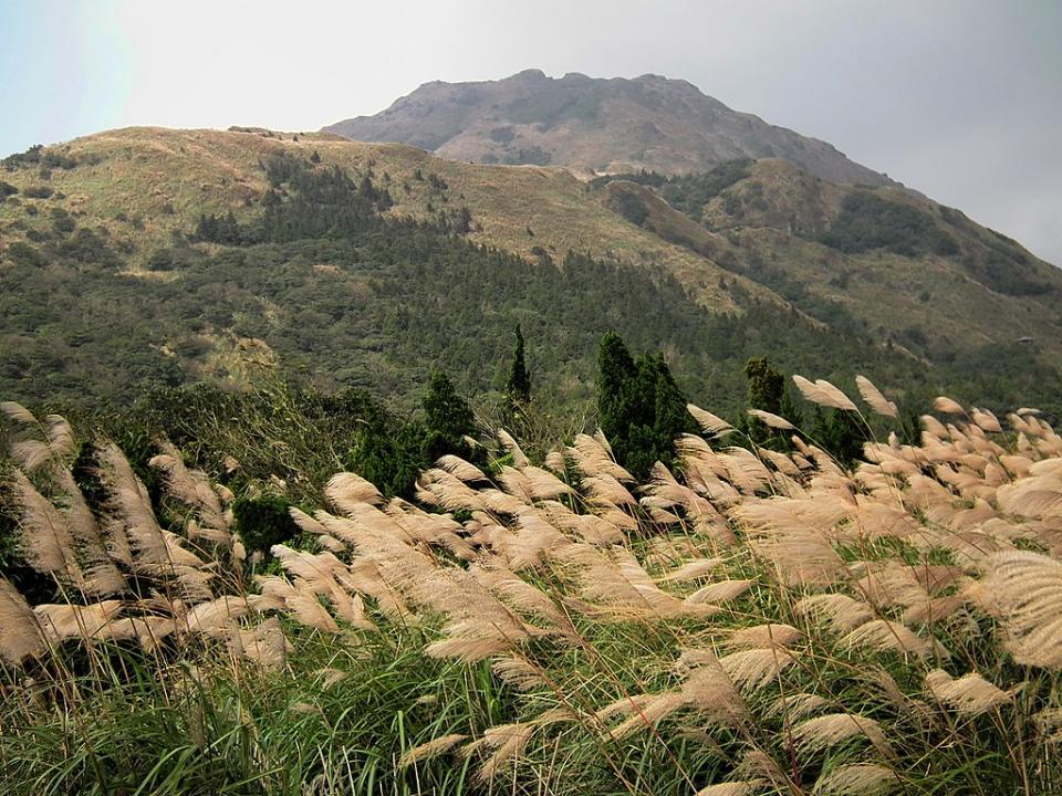 七星山 (Photo by lienyuan lee, License: CC BY 3.0, Wikimedia Commons提供, 圖片來源commons.wikimedia.org/wiki/File:Qixing_Mountain_%E4%B8%83%E6%98%9F%E5%B1%B1_-_panoramio.jpg)

