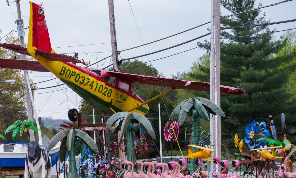 Across from David and Vicki Cox's paddlefish processing area sits their antiques and collectibles store Sunday, April 16, 2023, complete with a hanging airplane and lots of yard decoration. The airplane lists David's nickname, Caviar King. 