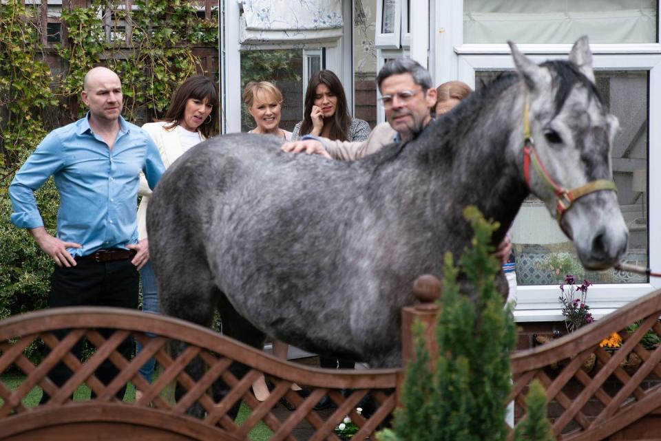 Wednesday, May 29: Sally is embarrassed that her horse is just an old nag