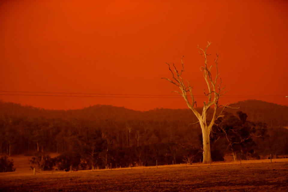 A firefighter has died while battling a bushfire in the Omeo area. Pictured is the sky turning red from the fires in Omeo on January 04, 2020 in Double Bridges, Australia.