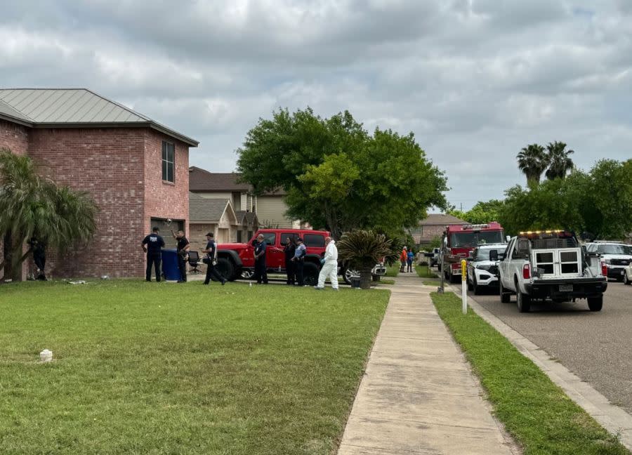 An animal cruelty investigation is underway after authorities received a call involving multiple dogs. (Photo by: Rolando Avila/ValleyCentral)