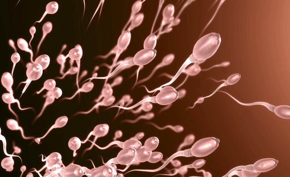 <span class="caption">Warming the testicles using nanorods affects sperm production.</span> <span class="attribution"><span class="source">(Shutterstock)</span></span>