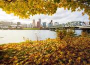 <body> <p>Portland's <a rel="nofollow noopener" href=" http://www.bobvila.com/slideshows/47982-7-things-to-do-now-for-a-greener-lawn-next-year?bv=yahoo" target="_blank" data-ylk="slk:lush greenery;elm:context_link;itc:0;sec:content-canvas" class="link ">lush greenery</a> and beautiful blooms aren't the only things that give the city its colorful character. Grant Park, which served as the setting for many of famed author Beverly Cleary's children's books, offers a plethora of kid-friendly venues to frequent on Halloween.</p> <p><strong>Related: <a rel="nofollow noopener" href=" http://www.bobvila.com/slideshows/50438-21-ways-to-color-your-yard-this-fall?bv=yahoo" target="_blank" data-ylk="slk:21 Ways to Color Your Yard This Fall;elm:context_link;itc:0;sec:content-canvas" class="link ">21 Ways to Color Your Yard This Fall</a> </strong> </p> </body>