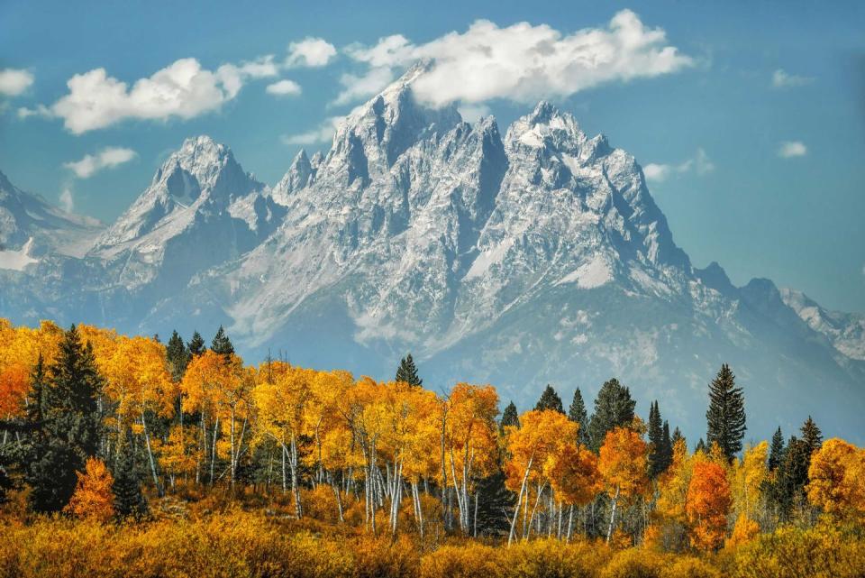 <p><strong>Grand Teton National Park</strong></p><p><a href="https://www.nps.gov/grte/index.htm" rel="nofollow noopener" target="_blank" data-ylk="slk:Grand Teton National Park;elm:context_link;itc:0;sec:content-canvas" class="link ">Grand Teton National Park</a> in Northwestern Wyoming spans 310,000 acres of unbelievable country from mountain ranges to clear blue lakes. The park’s next door neighbor is Yellowstone, the world’s first National Park. </p>