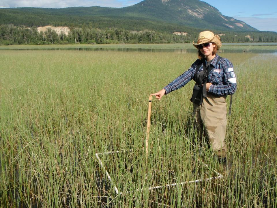 Rebecca Rooney, a wetland ecologist at the University of Waterloo, said that $50 million over five years won't go very far toward restoring damaged wetlands.