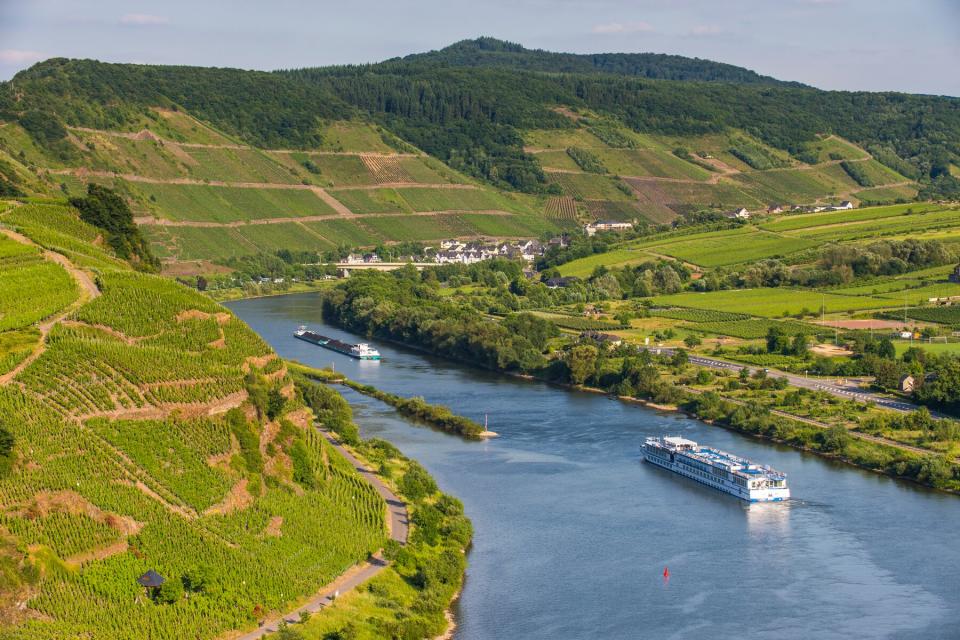 Cruise ship passing through the Riverbend in Bremm, Europes steepest vineyard location, Moselle Valley, Rhineland-Palatinate, Germany, Europe