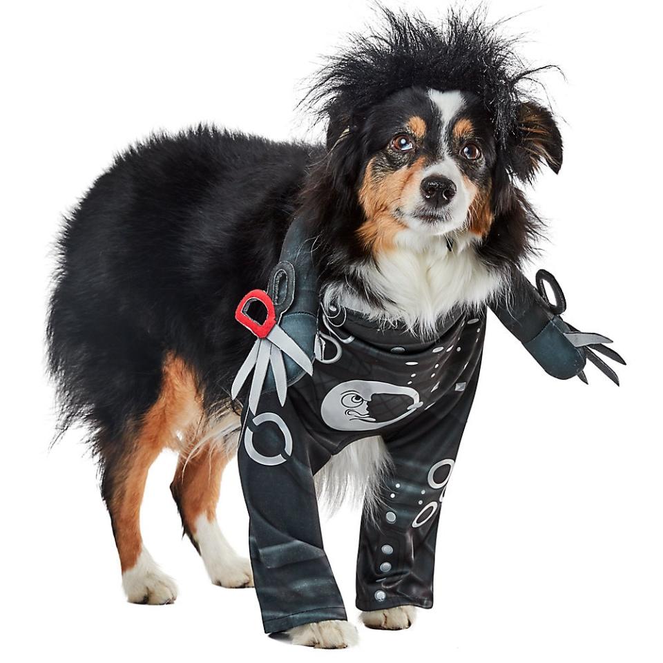 Rubie's Edward Scissorhands Dog Costume