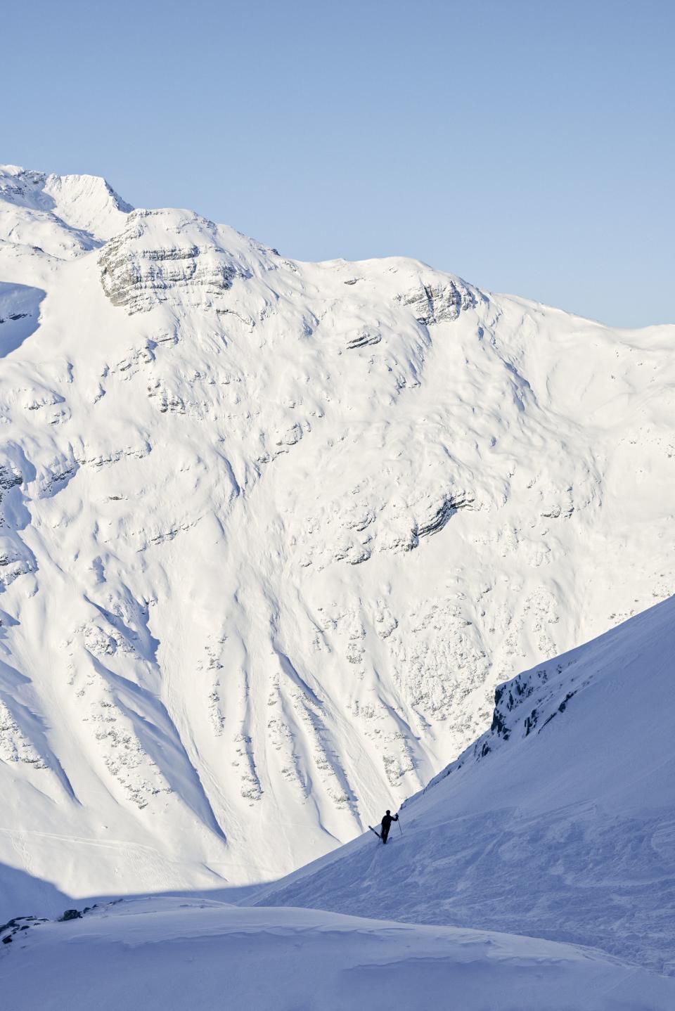 An intrepid skier enjoys an off-piste adventure.