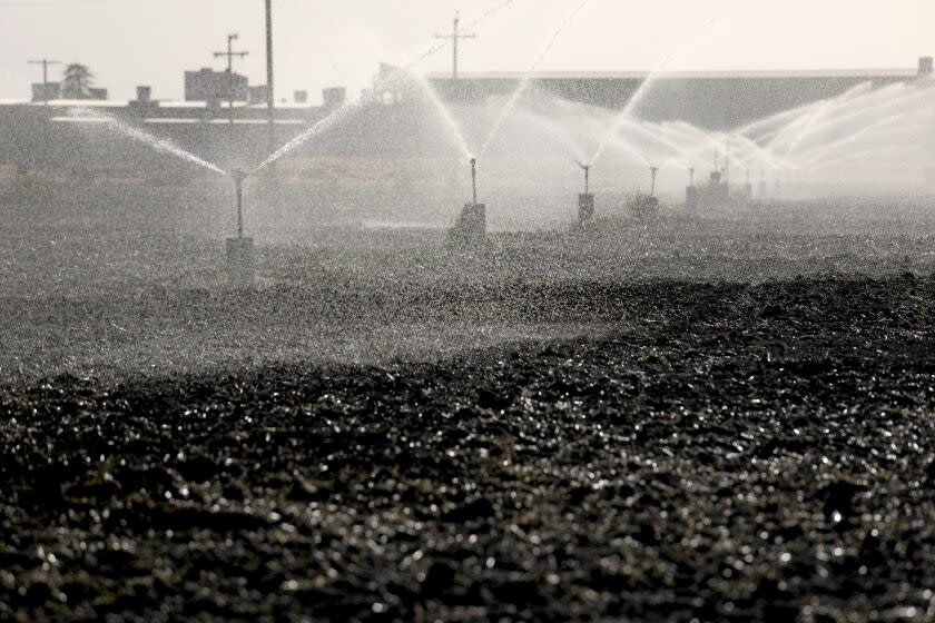 KINGSBURG, CA - APRIL 21: Irrigation along Bethel Ave. on Wednesday, April 21, 2021 in Kingsburg, CA. A deepening drought and new regulations are causing some California growers to consider an end to farming. (Gary Coronado / Los Angeles Times)