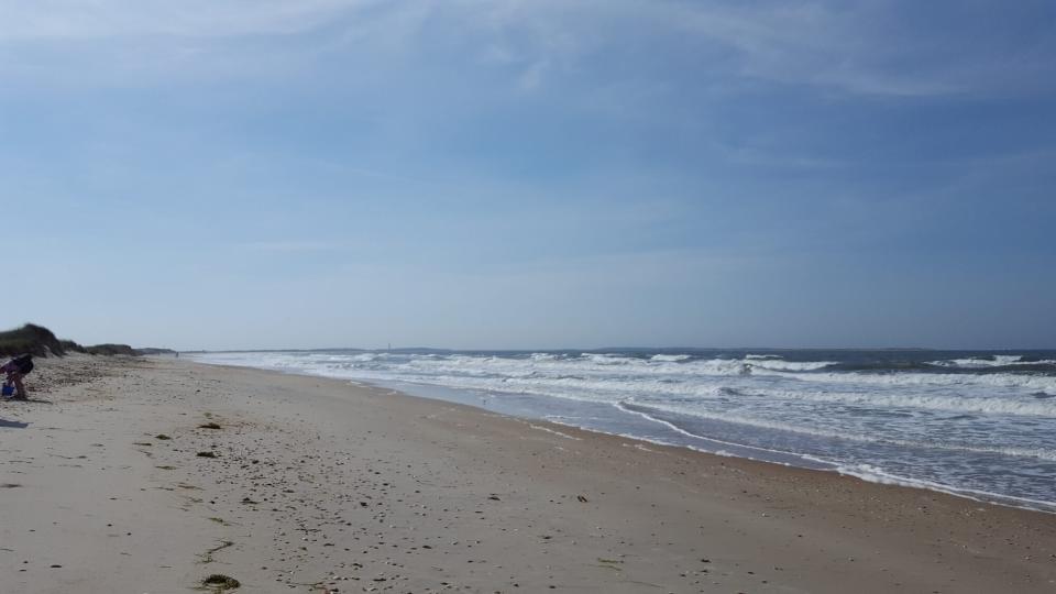 Shackleford Banks beach empty with no people