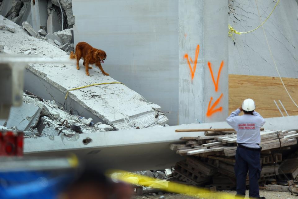 Parking Garage Under Construction At Miami-Dade College Campus Collapes