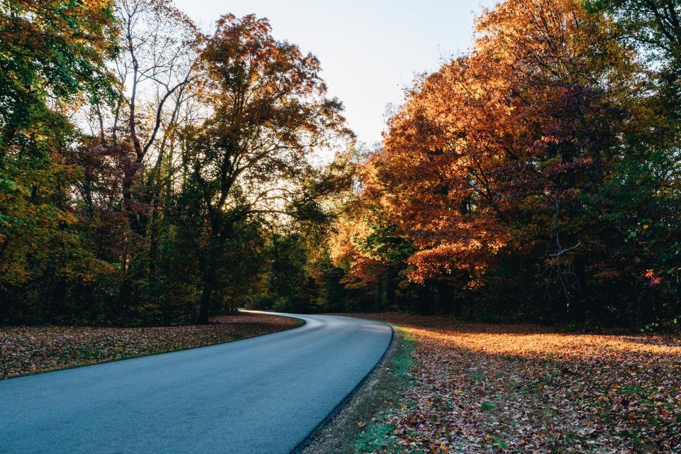 Brown County State Park, Indiana