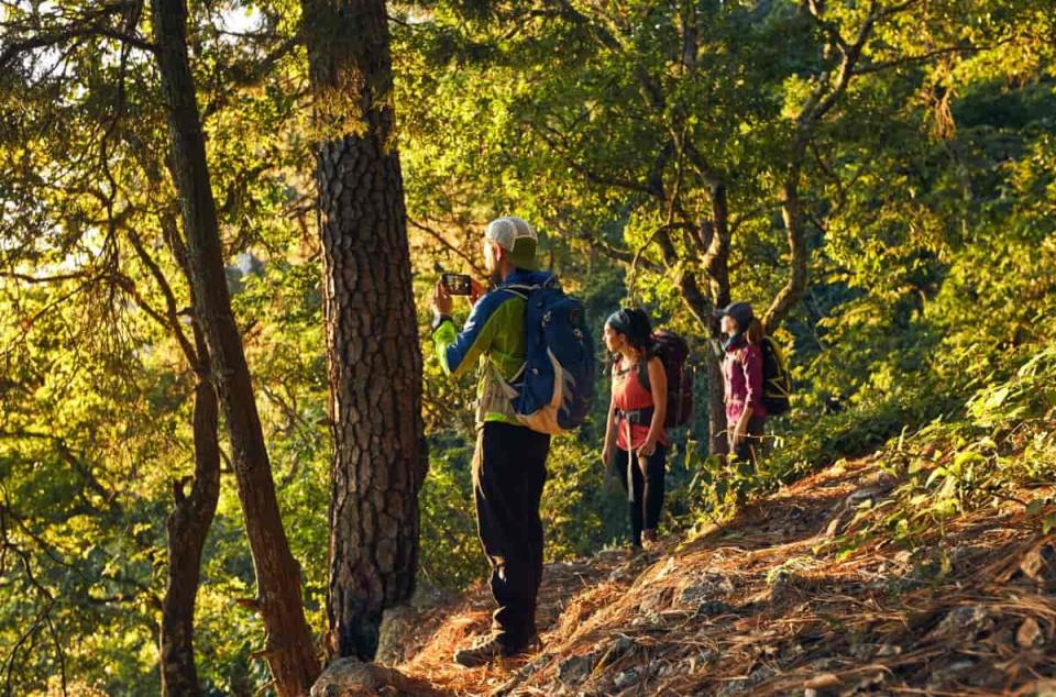 parque ecológico chipinique paisajes otoñales en méxico