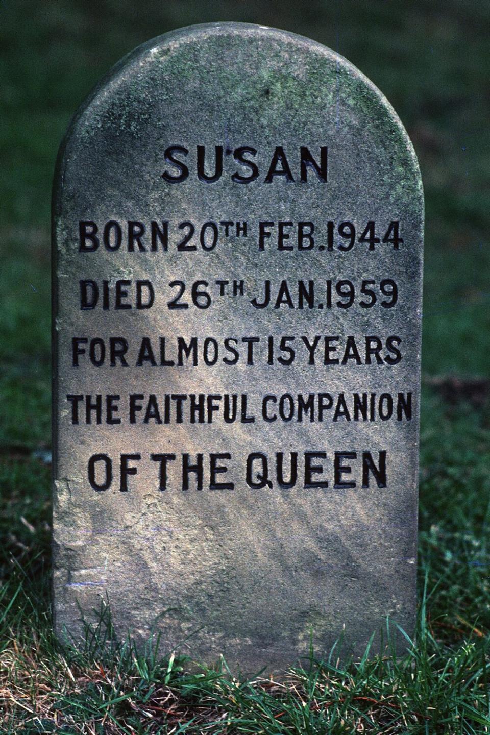 A grave for Susan, a pet corgi of the Queen buried on the Sandringham estate photographed on January 01, 1980 in Sandringham, England.