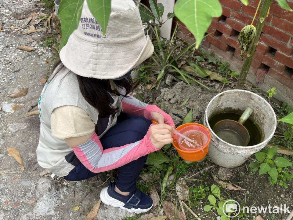 南市衛生局正加強登革熱病媒蚊稽查工作，防範疫情發生。   圖：南市衛生局提供