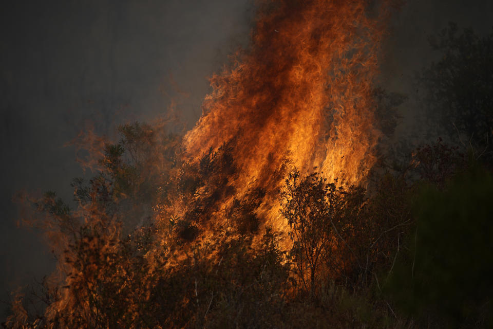 A fire burns in the forest near Le Luc, southern France, Tuesday, Aug. 17, 2021. Thousands of people were evacuated from homes and vacation spots near the French Riviera as firefighters battled a fire racing through surrounding forests Tuesday, the latest of several wildfires that have swept the Mediterranean region.(AP Photo/Daniel Cole)