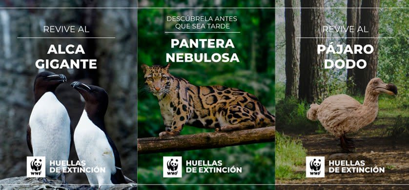 Fuente: WWF Chile