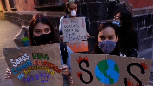 Geofagia: por qué hay gente que no puede parar de comer tierra - BBC News  Mundo