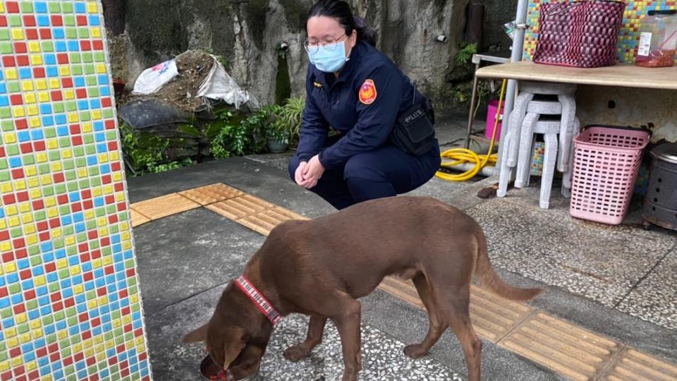 走失的旺來從基隆走了１５公里來到野柳　（圖／警方提供）