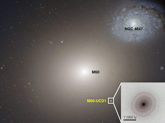 This image shows a huge galaxy, M60, with the small dwarf galaxy that is expected to eventually merge with it.