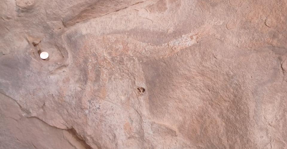 Grabado de una jirafa en el enclave de Amagjar (Mauritania) Imagen original de J.M. García Aguilar