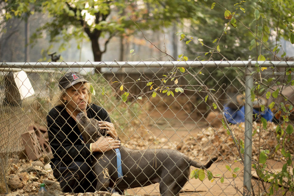 Animales sobrevivientes de los incendios de California