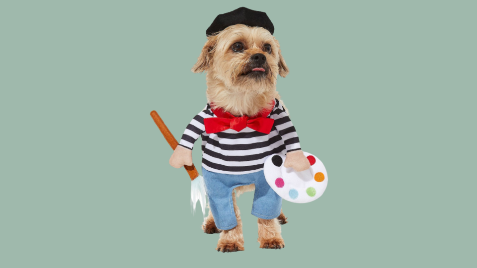 Popular Dog Costumes: Frisco Front Walking French Artist Dog Costume