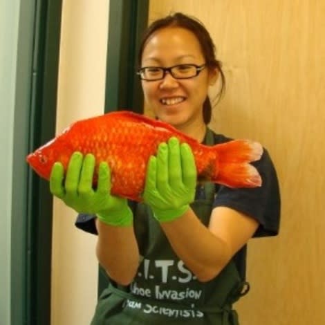 Giant goldfish poop hella tons, say researchers. Although I might be paraphrasing a bit here.