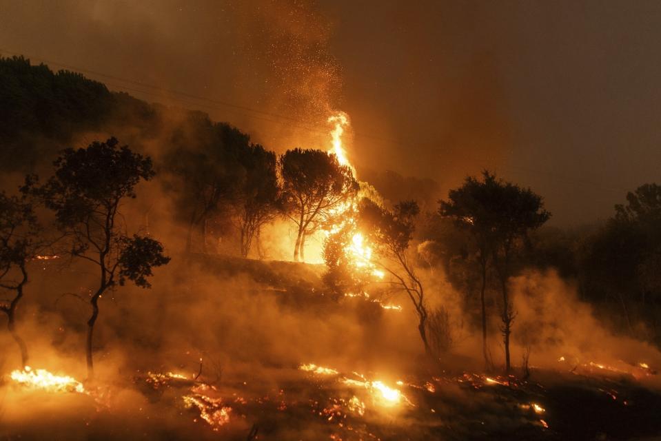 A forest on fire in the village of Dikela, near Alexandroupolis town, in the northeastern Evros region, Greece, Tuesday, Aug. 22, 2023. Firefighters scouring the area of a major wildfire in northeastern Greece have found the bodies of over 10 people thought to have been migrants who entered the country from Turkey. (AP Photo/Achilleas Chiras)