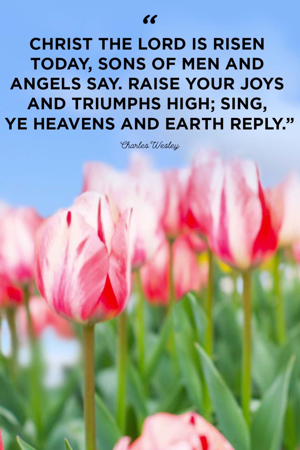 <p>"Christ the Lord is risen today, sons of men and angels say. Raise your joys and triumphs high; sing, ye heavens and Earth reply."</p>