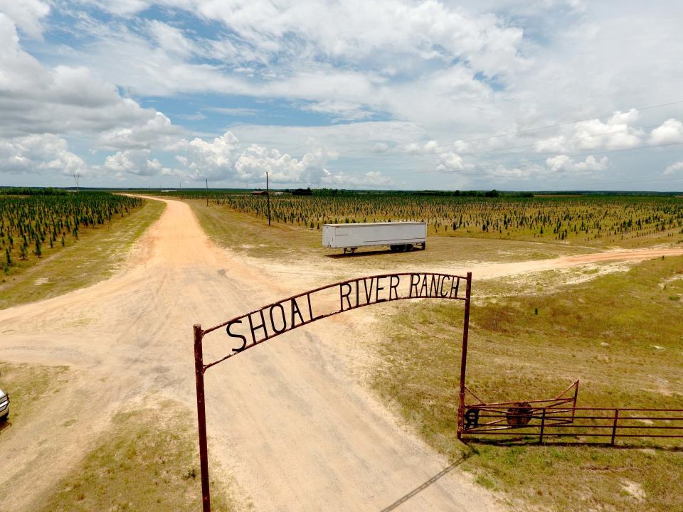 The main entrance to the Shoal River Ranch economic development site, located just east of Crestview on U.S. Highway 90.