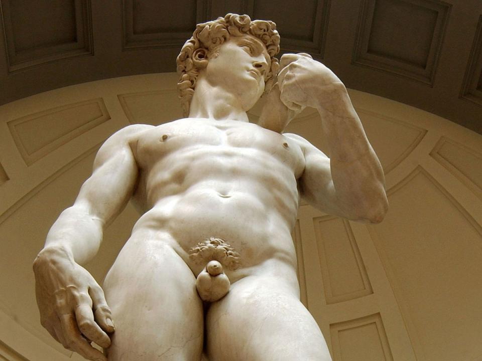 ‘If Michaelangelo was born today, one thing is for sure, is David’s penis would have been bigger’ (Getty Images)