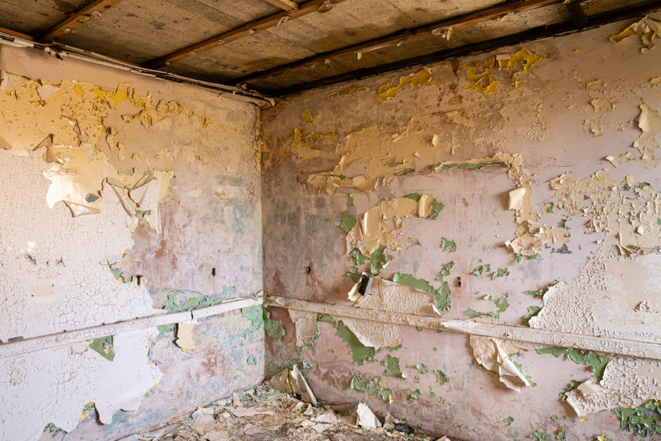 Details of crumbling wall taken with the Sony A7R V