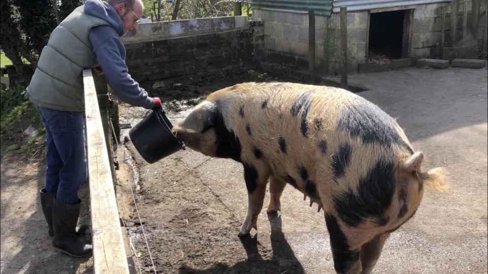 Photo credit: Bath City Farm