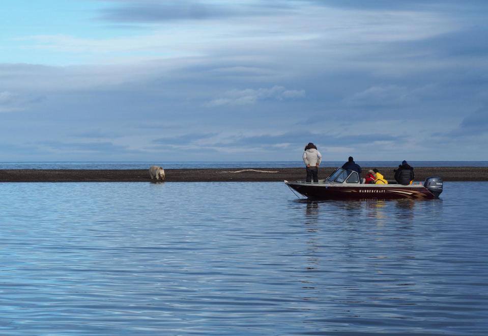 Tourist boats maintain a safe distance from the bears (Sarah Reid)