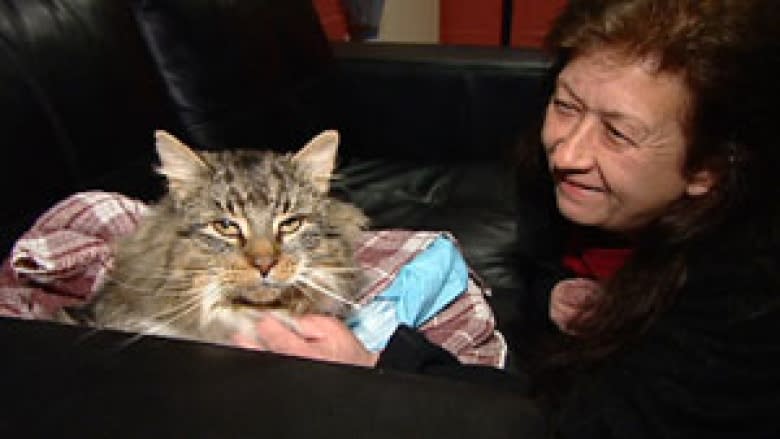 Trooper, beloved Bay St. George rescue cat dies from cancer