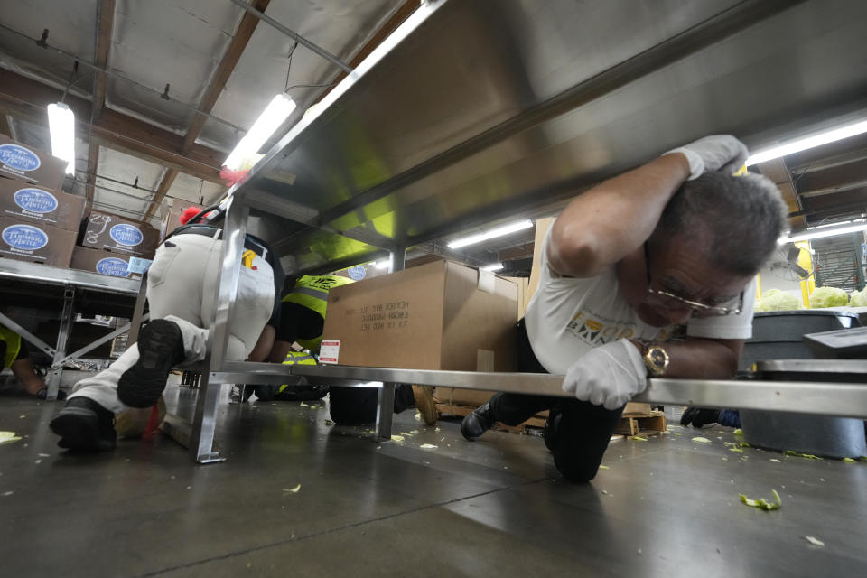 Workers practice "drop, cover, and hold on" at a ShakeOut earthquake drill at the Los Angeles Regional Food Bank in Los Angeles Thursday, Oct. 19, 2023. Up and down the West Coast, the ShakeOut drill was scheduled to begin at 10:19 a.m. PDT with a cellphone-rattling test alert from the region's ShakeAlert earthquake warning system. (AP Photo/Damian Dovarganes)