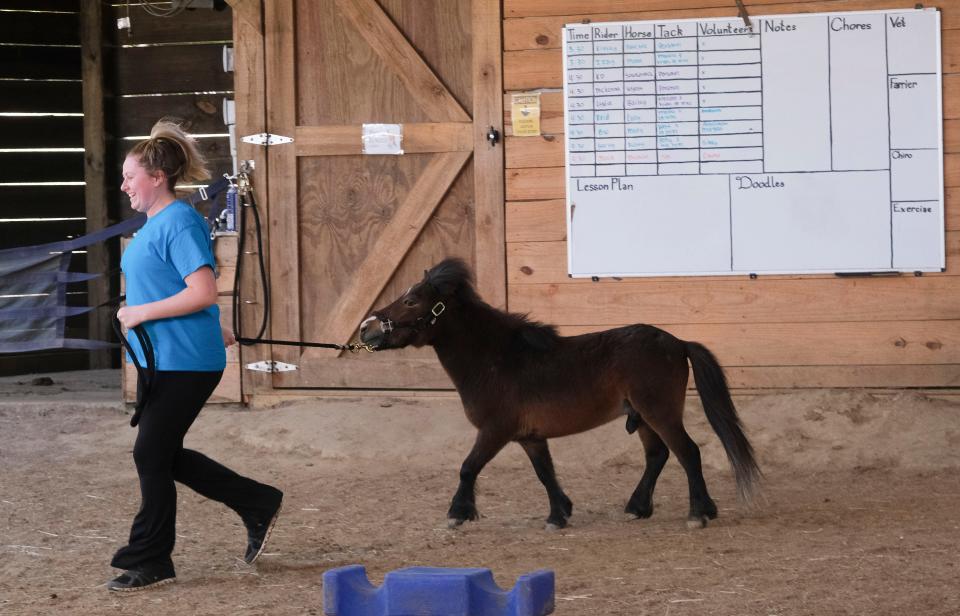 Ginuwine, the miniature horse that scampered about Tuscaloosa, now has a home at Therapeutic Riding of Tuscaloosa.  Annabelle Boyle gives the horse some exercise Tuesday, May 2, 2023.