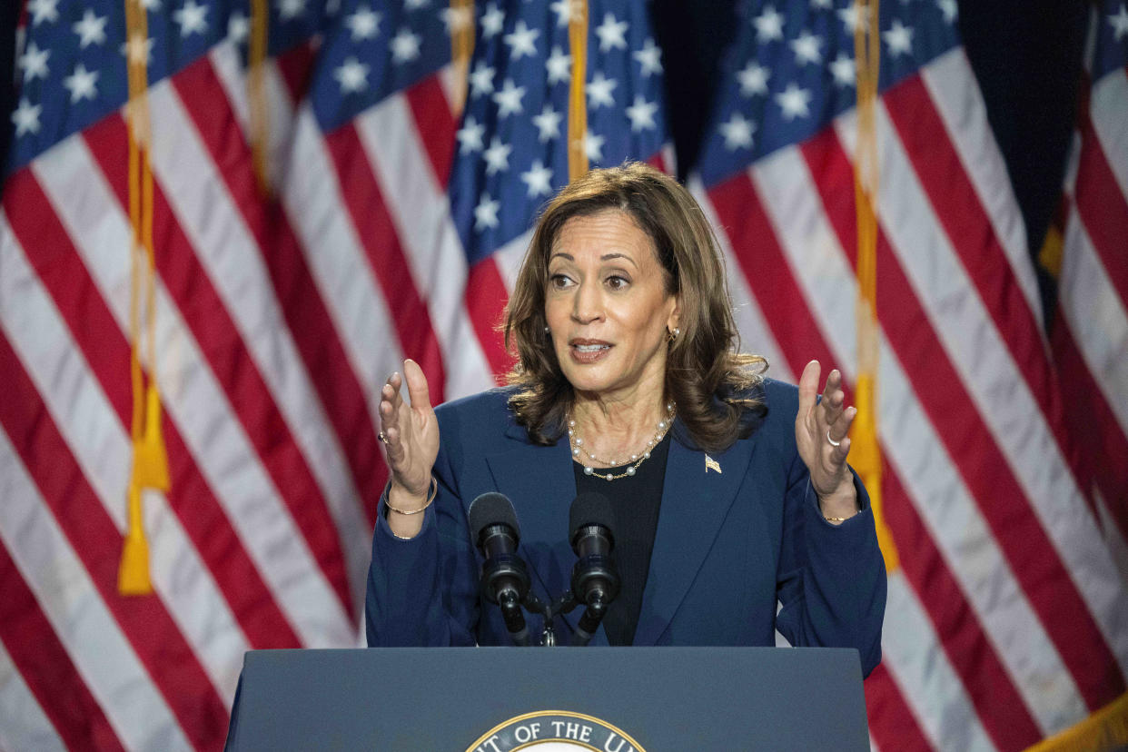 Vice President Kamala Harris campaigns for president during an event at West Allis Central High School, Tuesday, July 23, 2024, in West Allis, Wis. (Kayla Wolf/AP Photo)