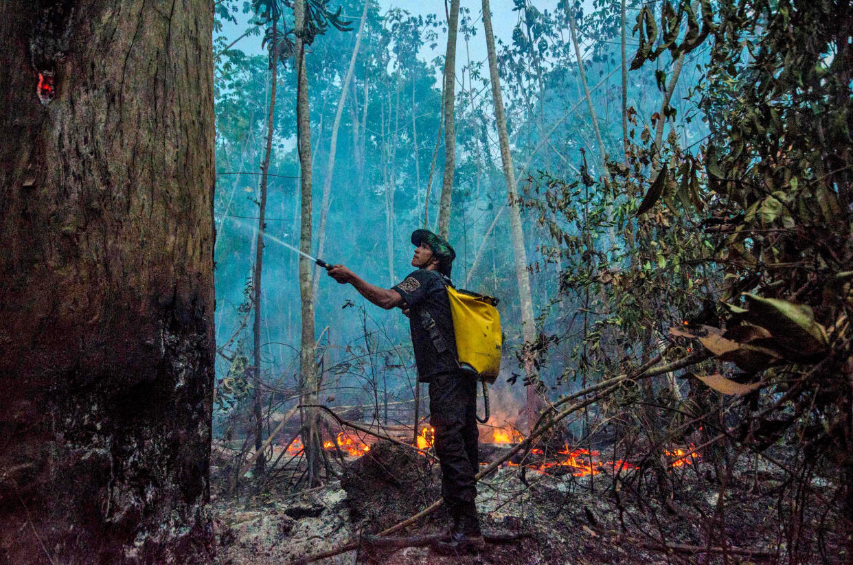 Image: A Forest Guardians member fights fires in the Alto Rio Guama region in Brazil on Sept. 17, 2020. (Joao Paulo Guimaraes / AFP via Getty Images file)