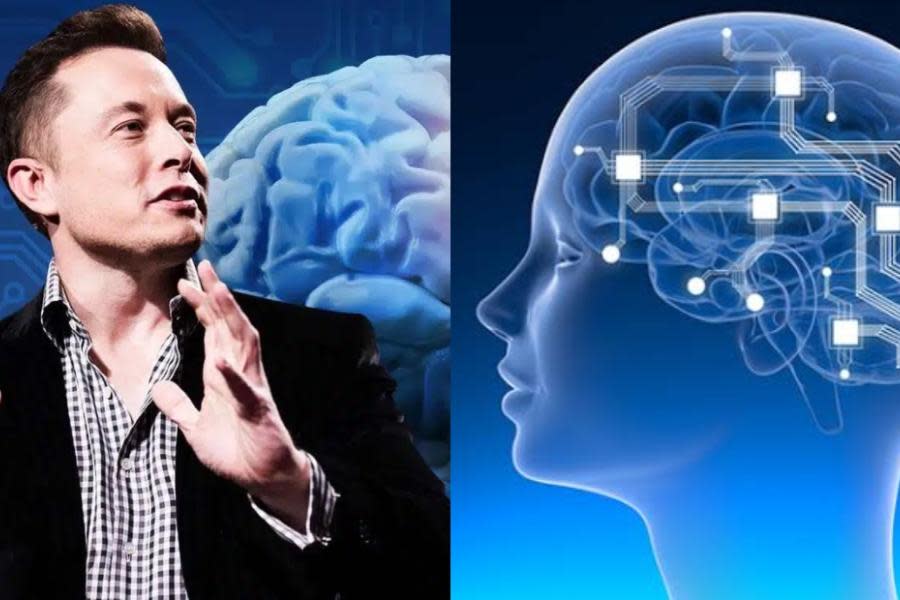 Neuralink, empresa de Elon Musk es autorizada para probar implantes cerebrales en humanos.